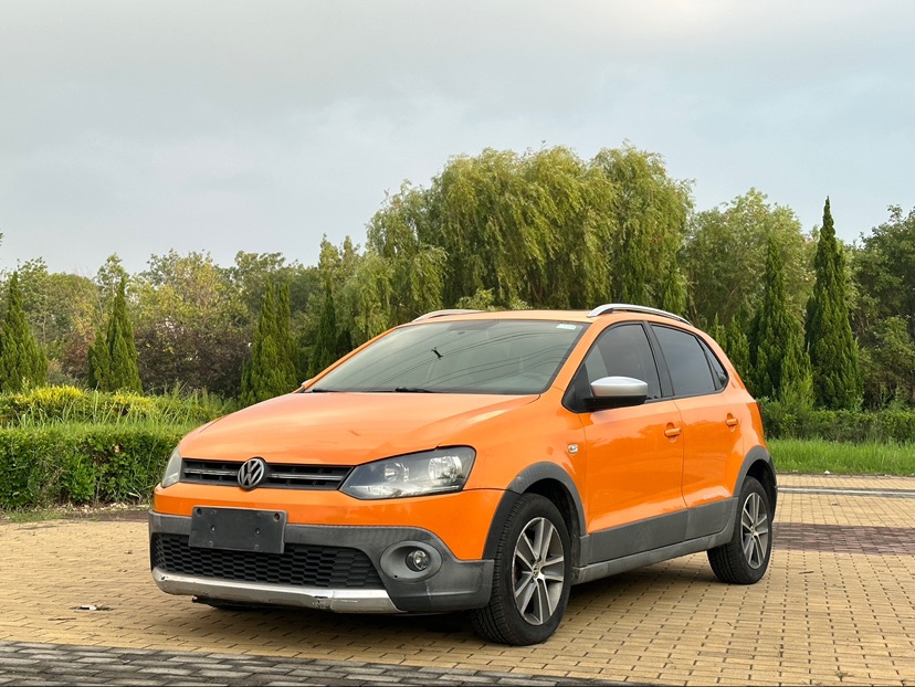 Volkswagen Polo 2013 car image 
