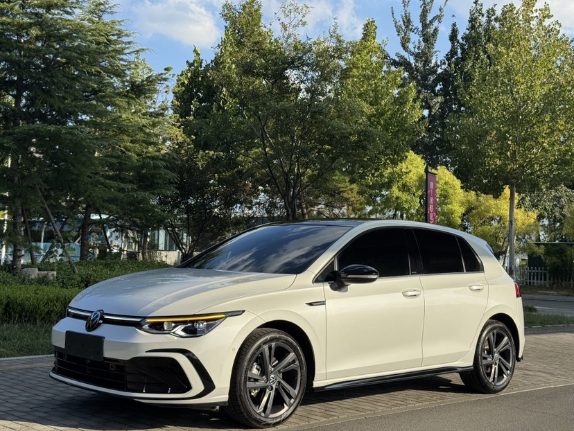 Volkswagen Golf 2024 car image 