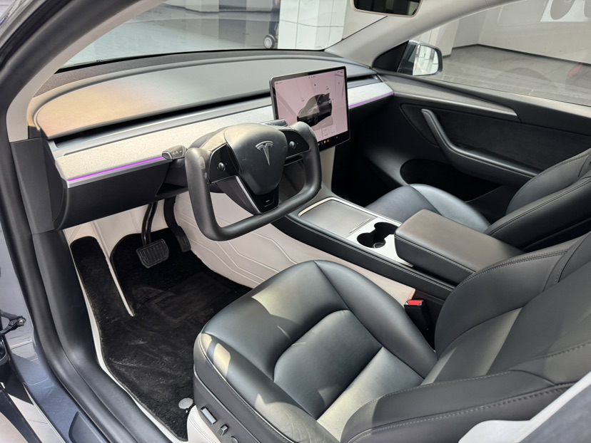 Tesla Model Y 2023 car image #11