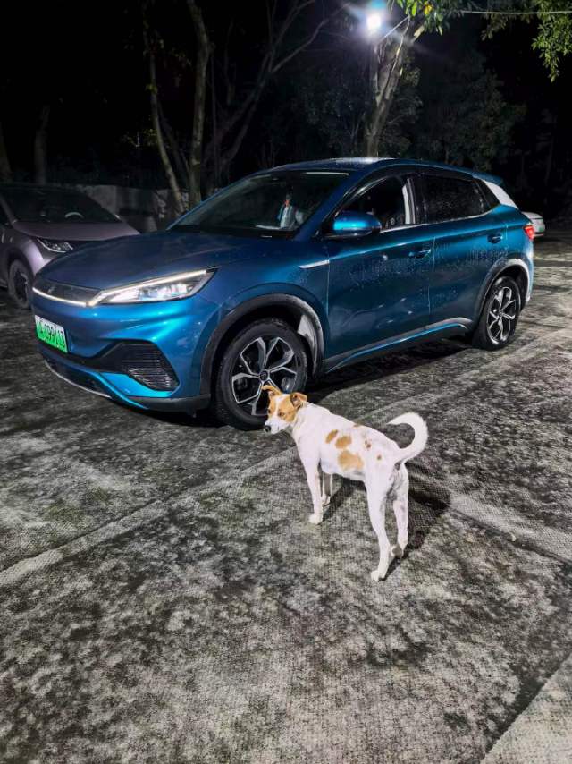 BYD Yuan Plus 2022 BYD Yuan Plus 2022 car image
