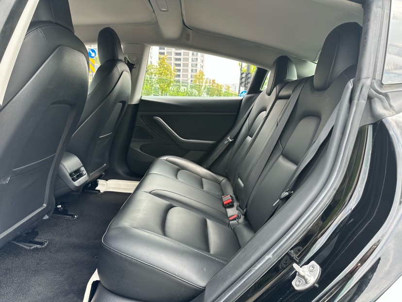 Tesla Model 3 2020 #7 Tesla Model 3 2020 car image #7