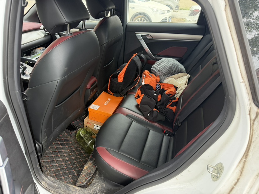 GEELY Coolray 2021 car image #6