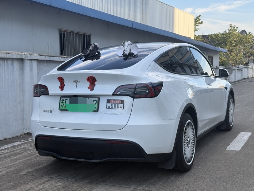 Tesla Model Y 2024 #7 Tesla Model Y 2024 car image #7