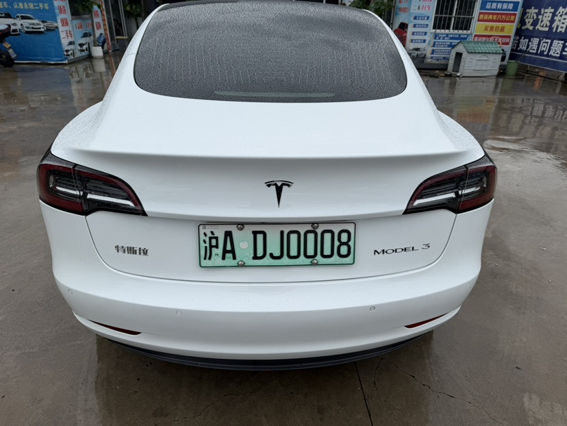 Tesla Model 3 2020 immagine di auto #4