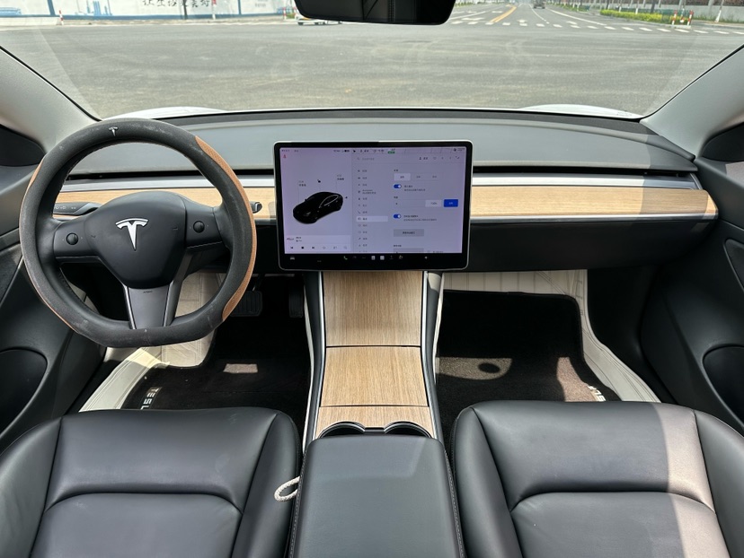 Tesla Model 3 2020 #6 Tesla Model 3 2020 car image #6