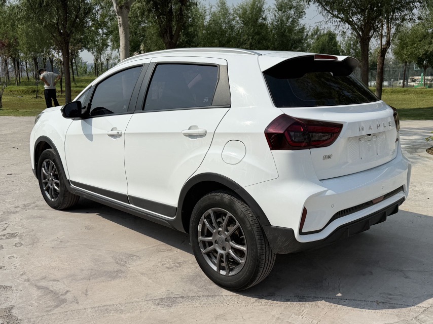 Livan X3 PRO 2023 #5 Livan X3 PRO 2023 immagine di auto #5