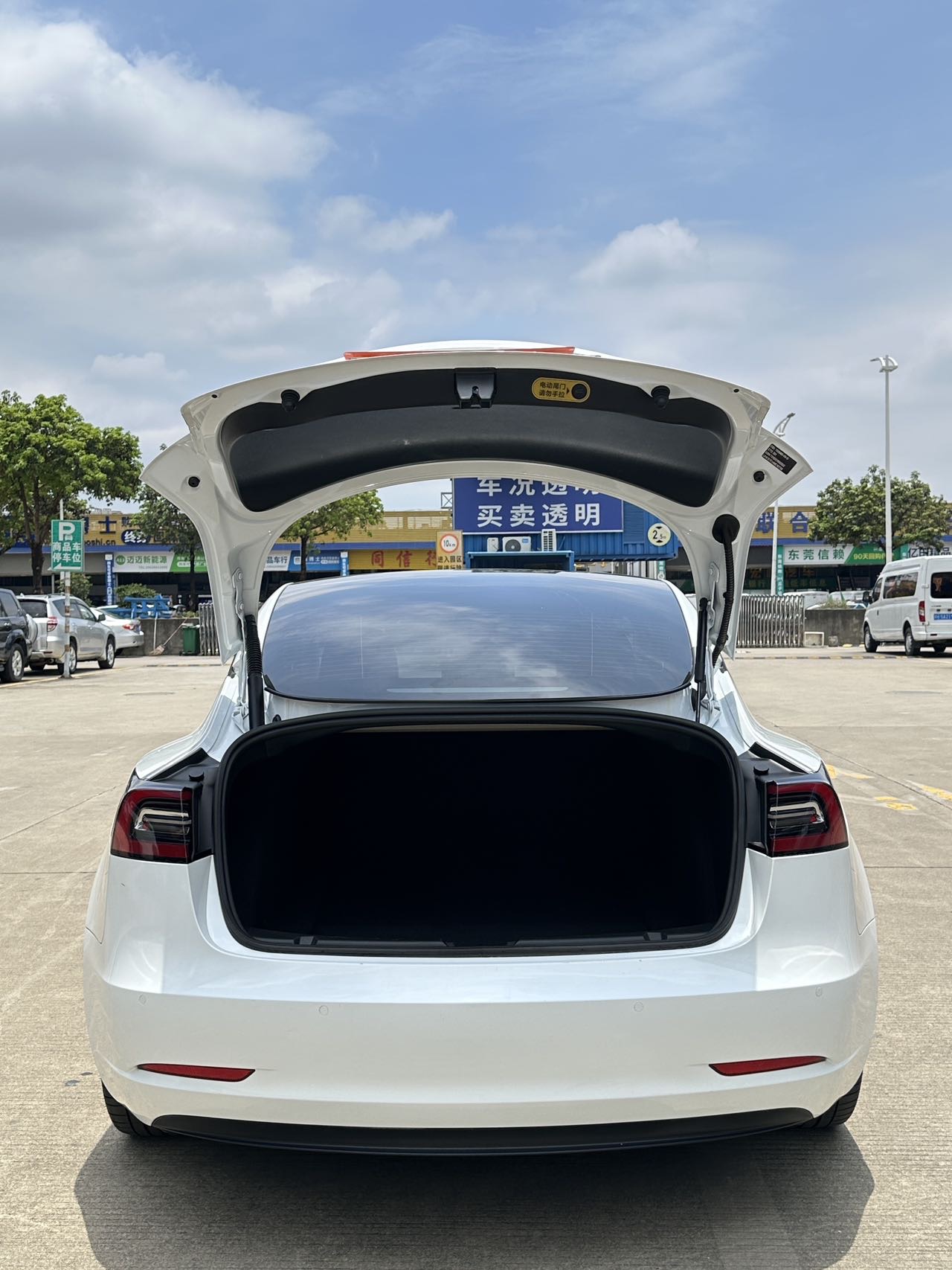 Tesla Model 3 2021 #9 Tesla Model 3 2021 car image #9