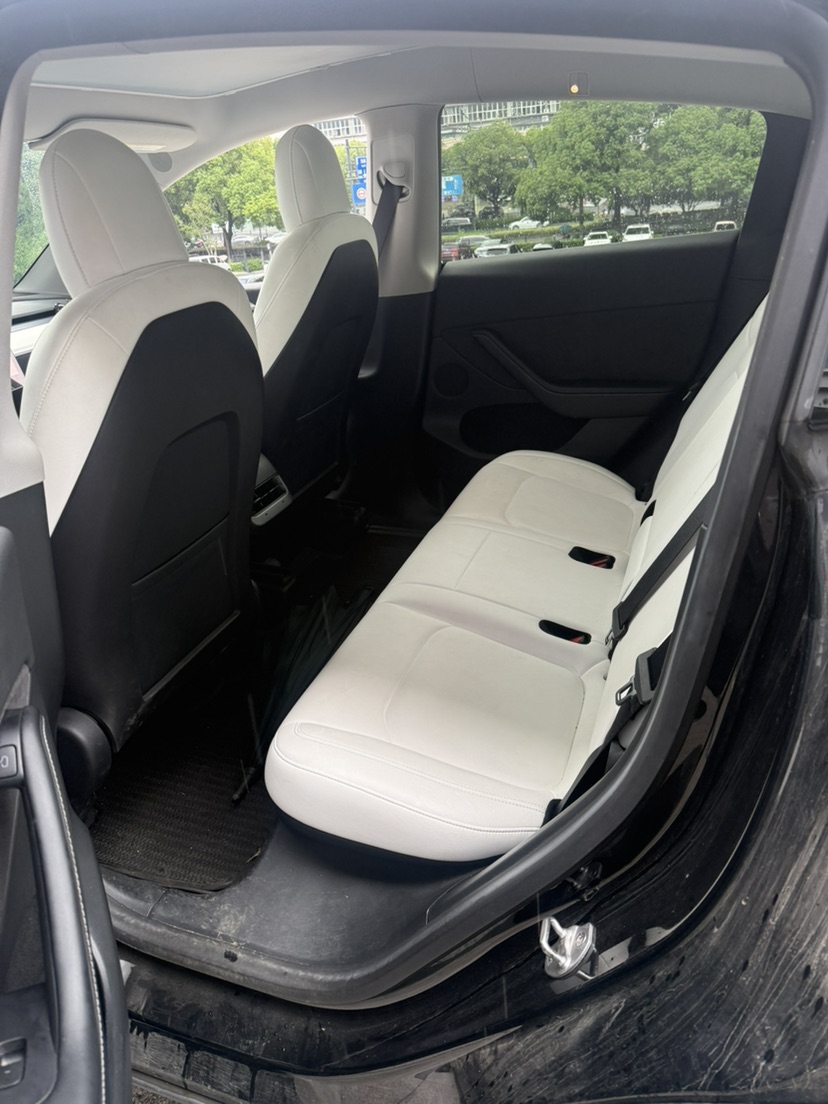 Tesla Model Y 2022 #8 Tesla Model Y 2022 car image #8