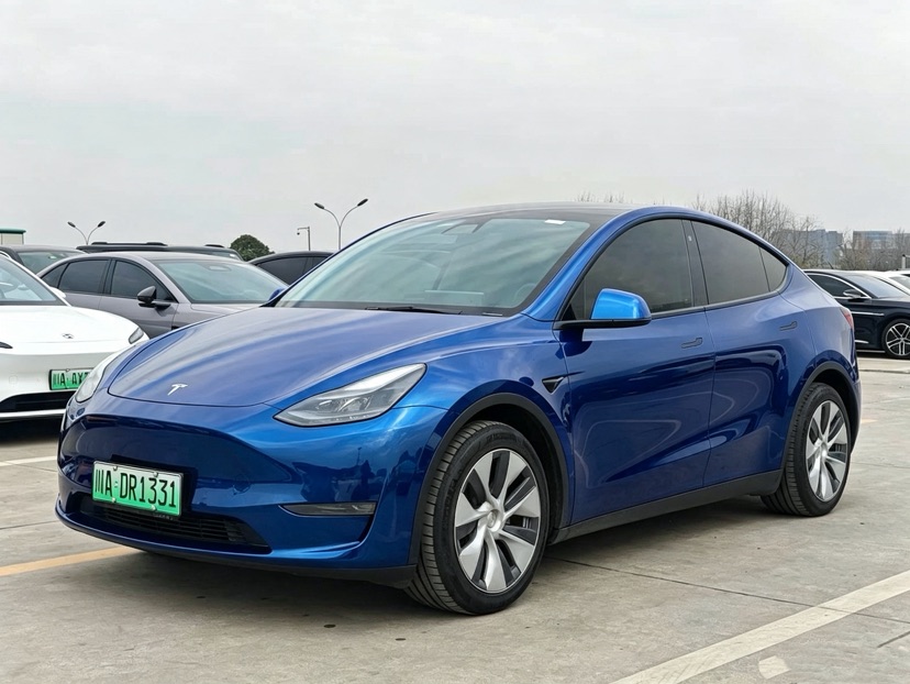 Tesla Model Y 2021 صورة سيارة 