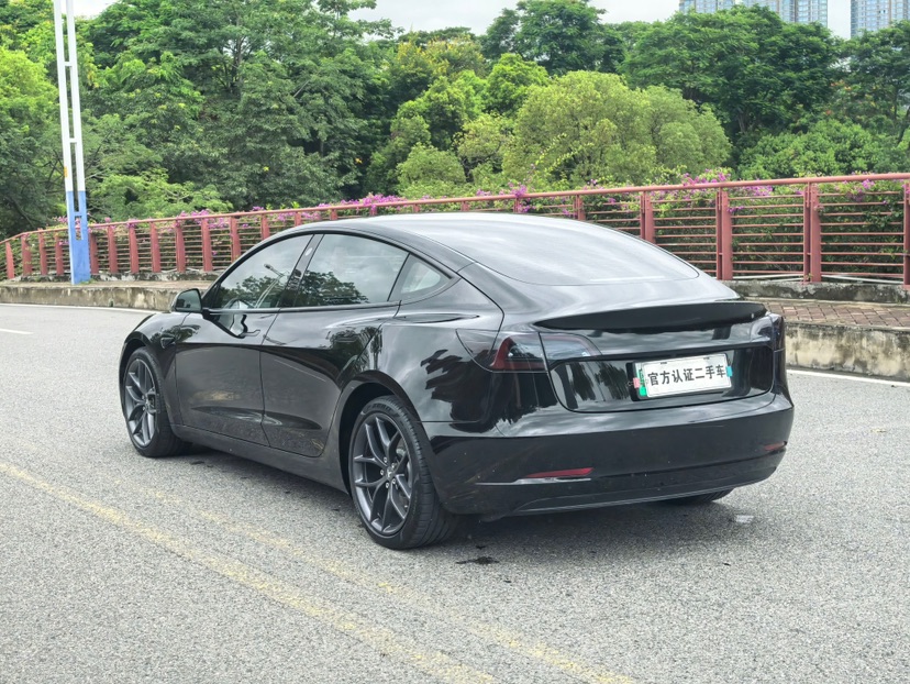 Tesla Model 3 2021 car image #7