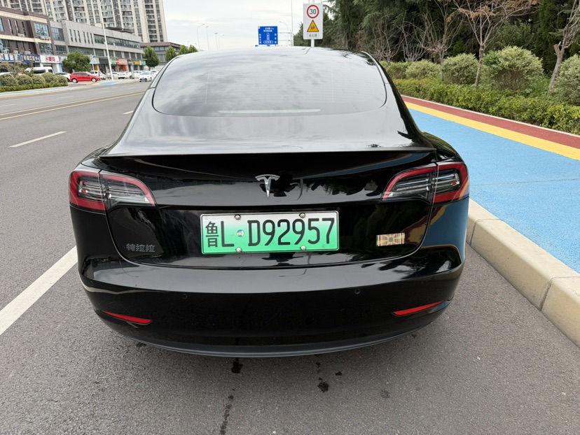 Tesla Model 3 2022 car image #7
