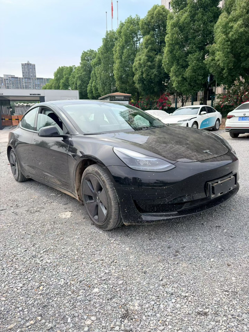 Tesla Model 3 2023 immagine di auto #2