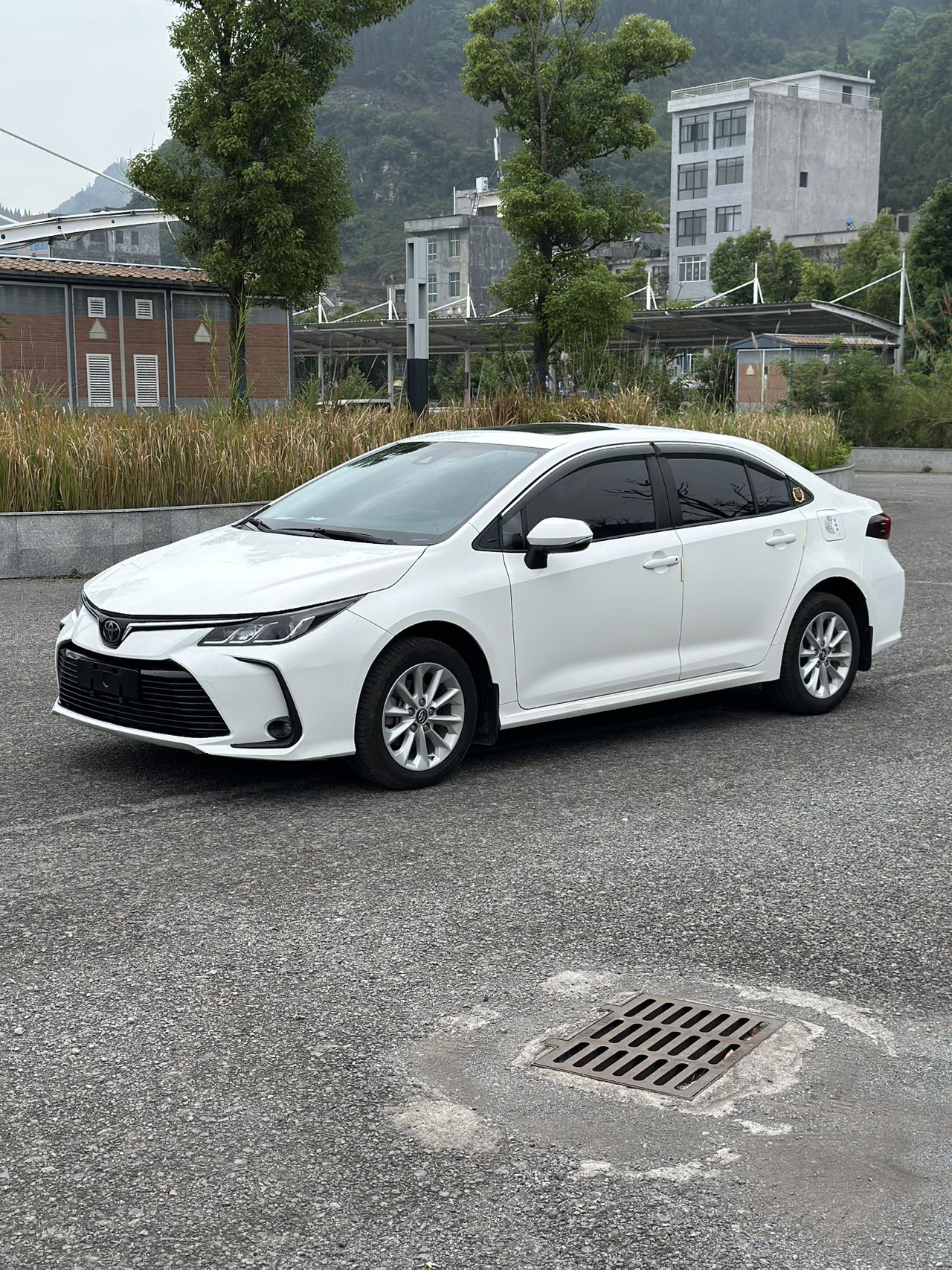 Toyota Corolla 2021 car image 