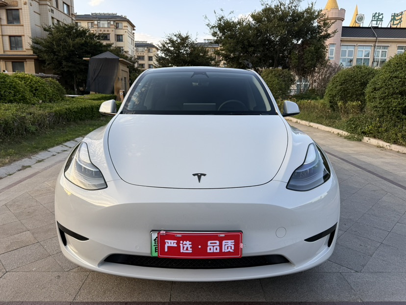 Tesla Model Y 2022 #2 Tesla Model Y 2022 car image #2