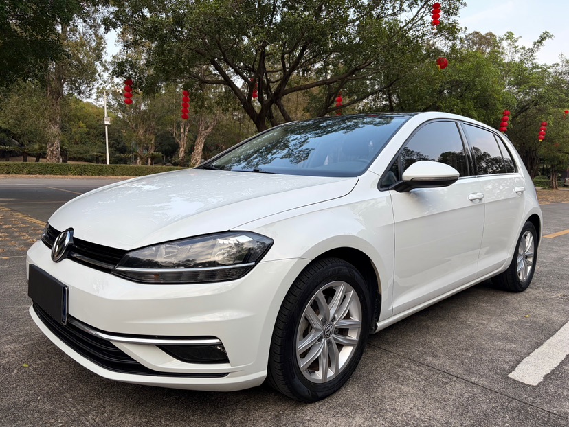 Volkswagen Golf 2019 car image 