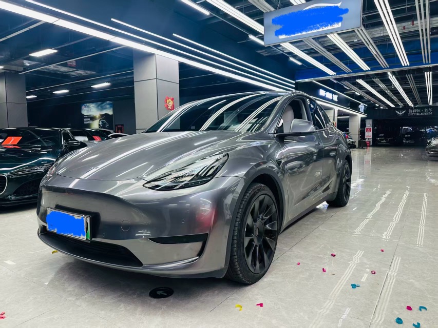 Tesla Model Y 2023 car image 