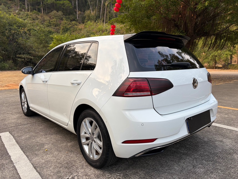 Volkswagen Golf 2019 car image #9