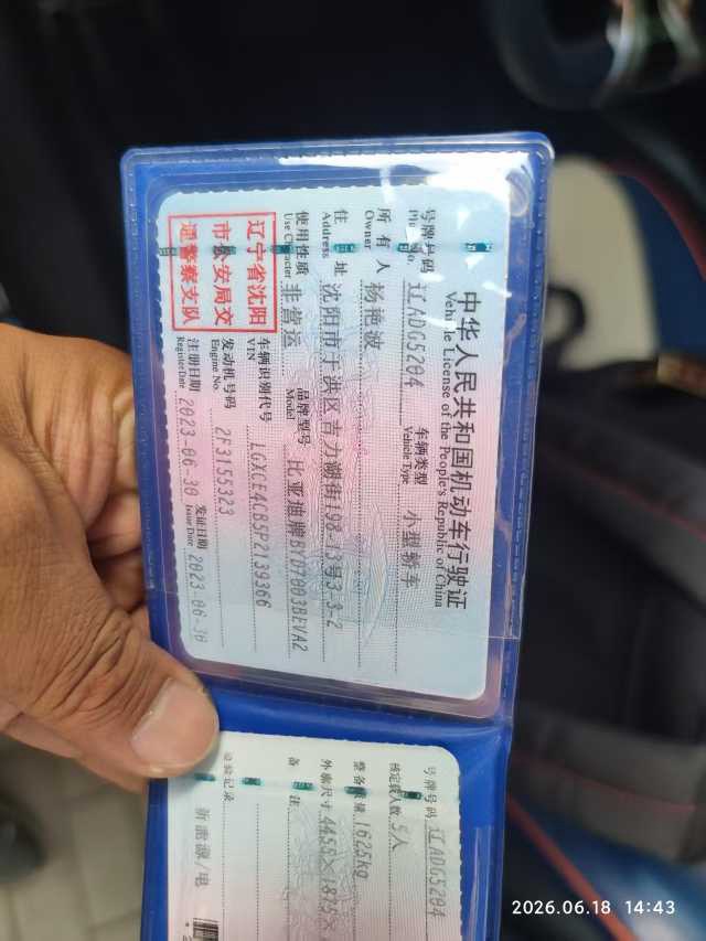 BYD Yuan Plus 2023 car image #5