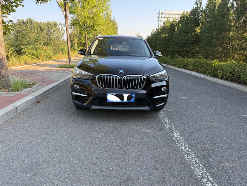 BMW X1 2017 #2 BMW X1 2017 car image #2
