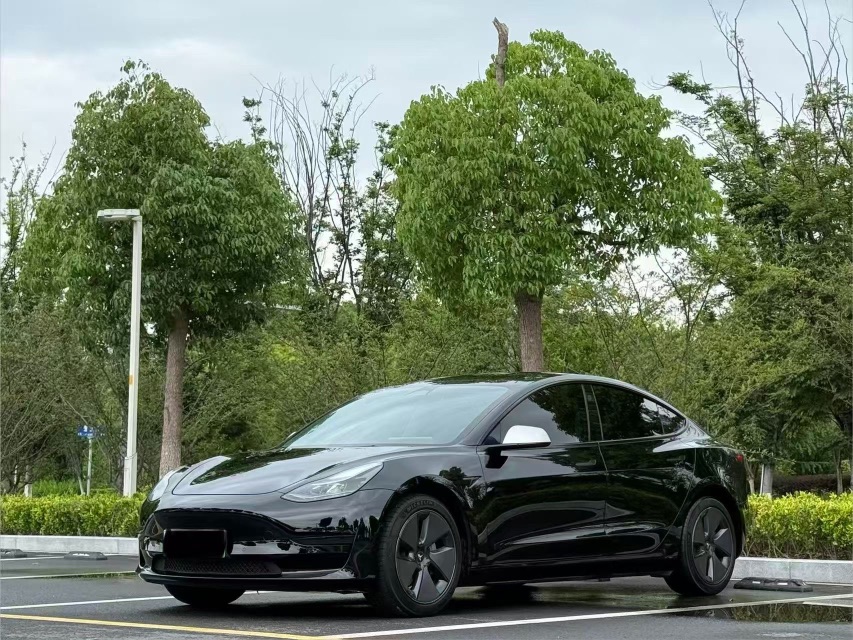 Tesla Model 3 2023 Tesla Model 3 2023 immagine di auto