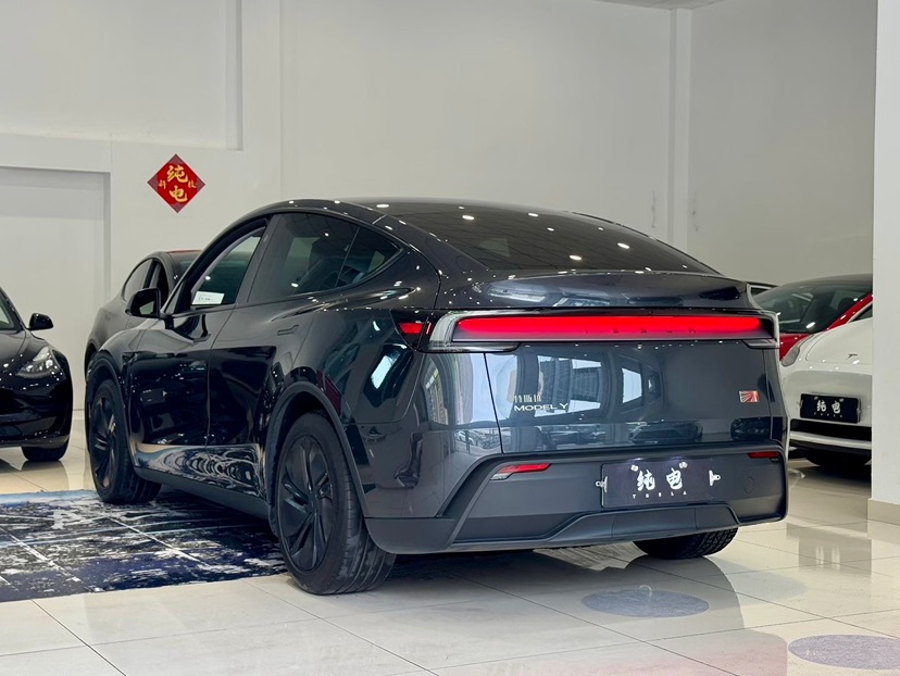 Tesla Model Y 2025 car image #4
