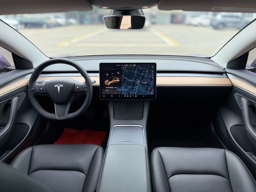 Tesla Model 3 2021 car image #9
