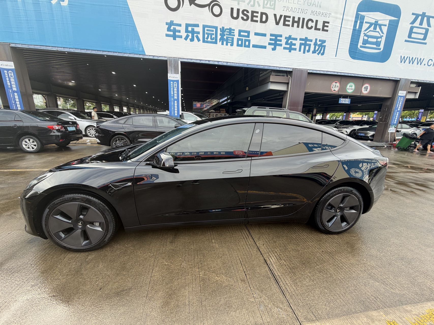 Tesla Model 3 2023 immagine di auto #8