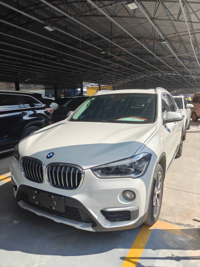 BMW X1 2019 изображение автомобиля 