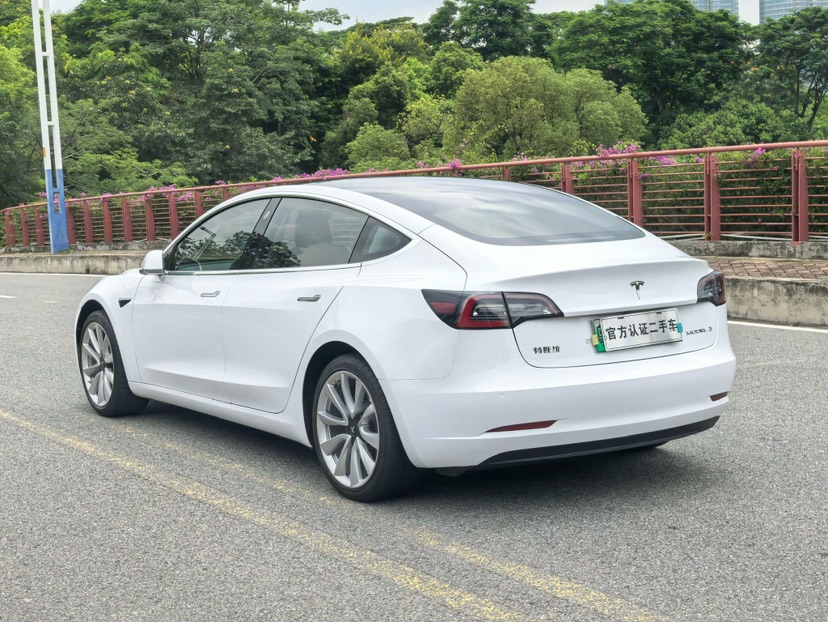 Tesla Model 3 2020 #8 Tesla Model 3 2020 car image #8