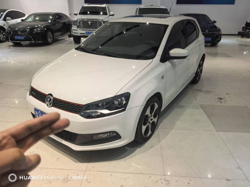 Volkswagen Polo 2013 Volkswagen Polo 2013 car image
