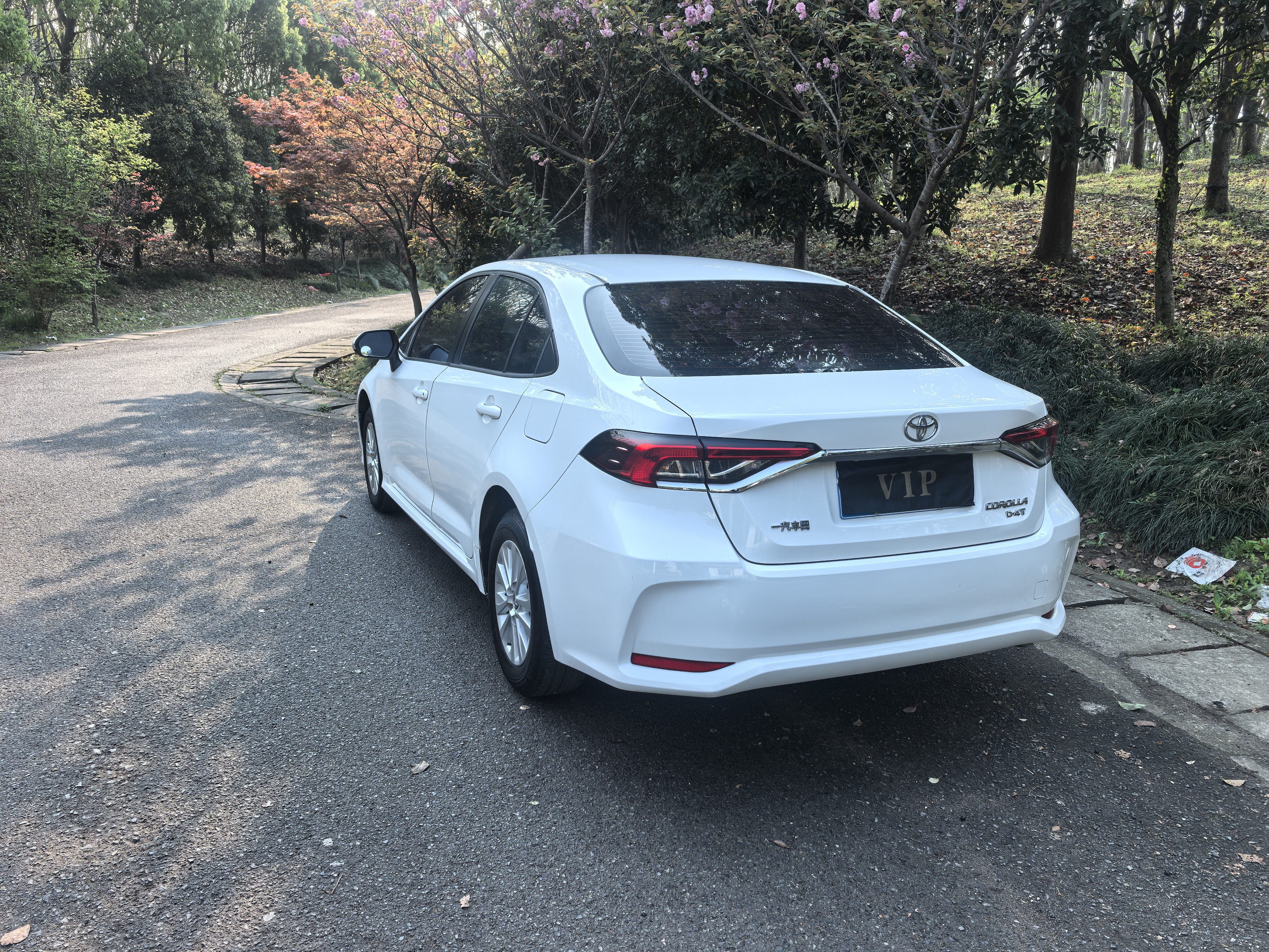 Toyota Corolla 2020 car image #4