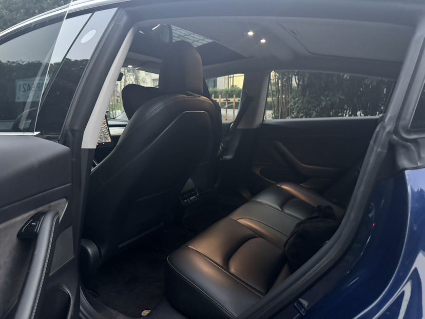 Tesla Model 3 2020 imagem de carro #5