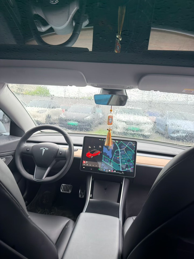 Tesla Model 3 2020 #8 Tesla Model 3 2020 car image #8