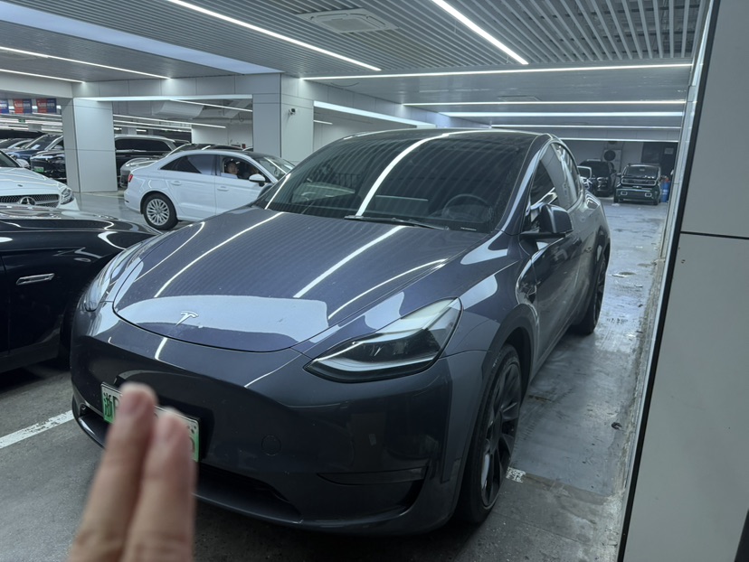 Tesla Model Y 2022 car image 