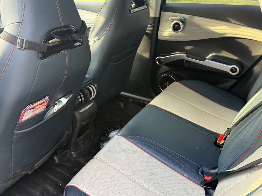 BYD Yuan Plus 2023 car image #4