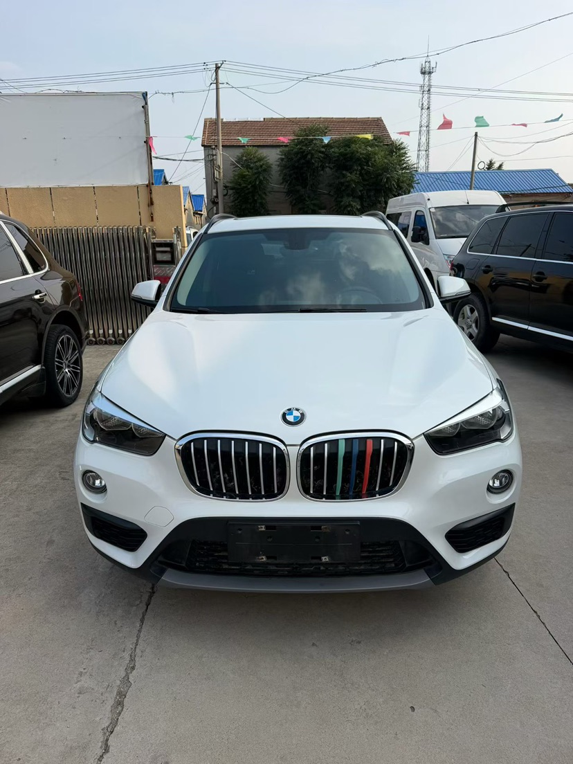 BMW X1 2019 immagine di auto 