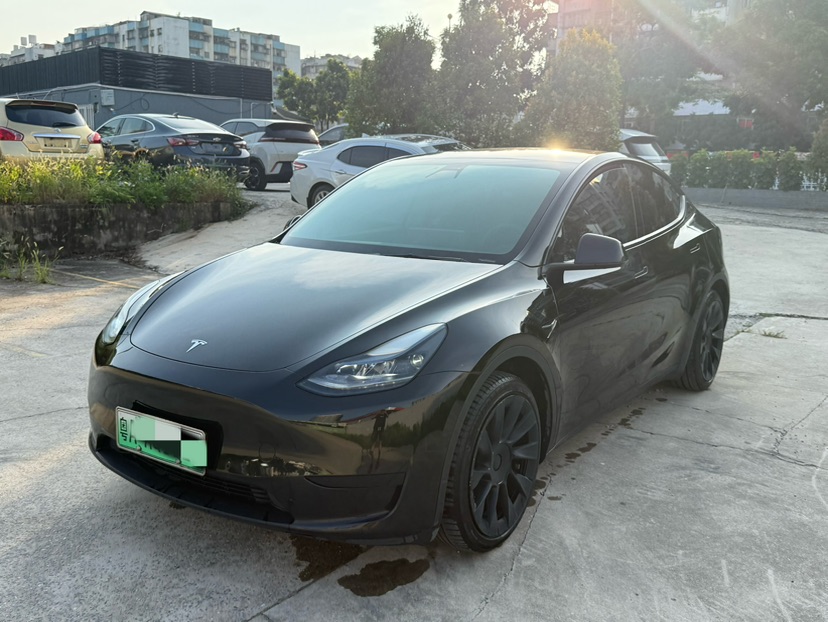 Tesla Model Y 2022 Tesla Model Y 2022 car image