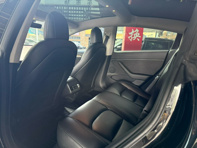 Tesla Model 3 2021 car image #8