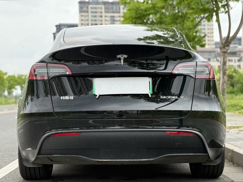 Tesla Model Y 2023 car image #8