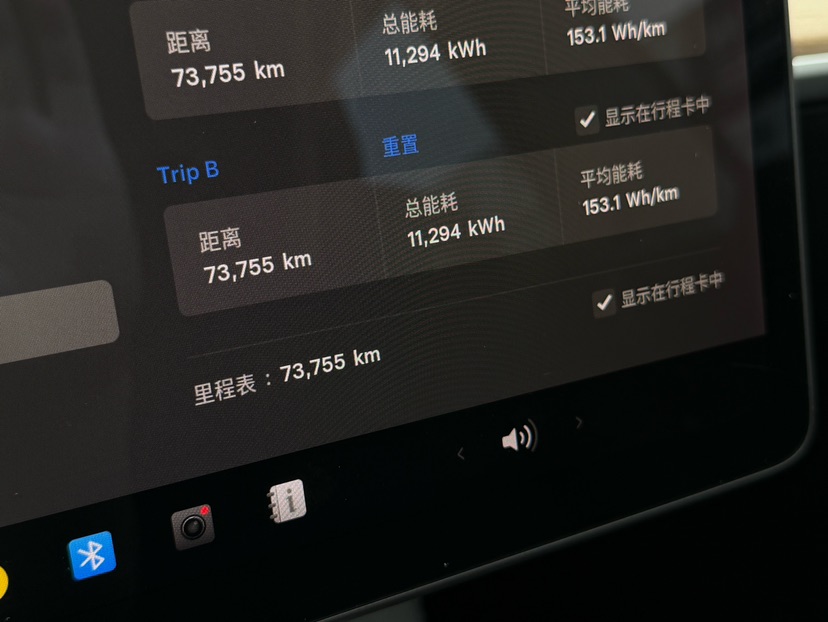 Tesla Model 3 2021 car image #7