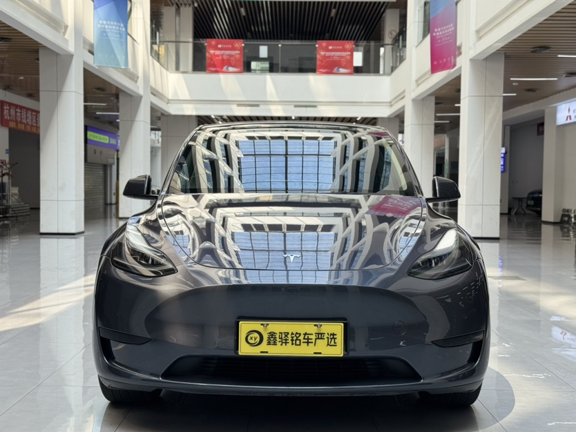 Tesla Model Y 2023 car image #2
