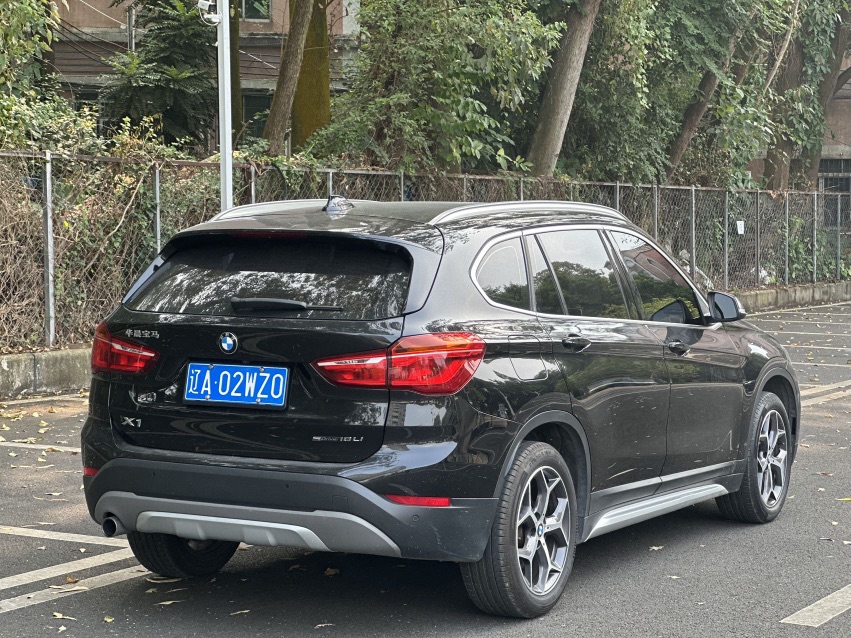 BMW X1 2019 car image #6
