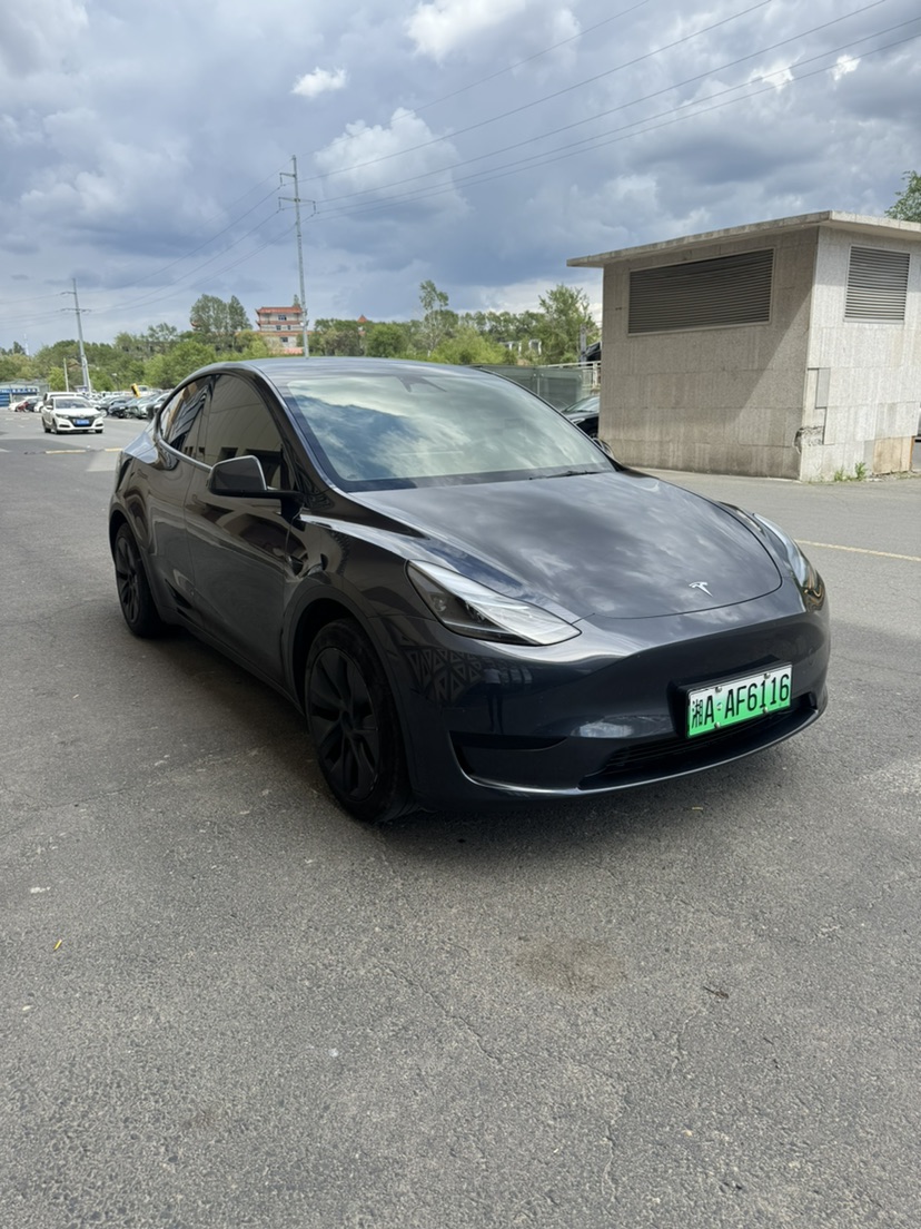 Tesla Model Y 2025 car image 