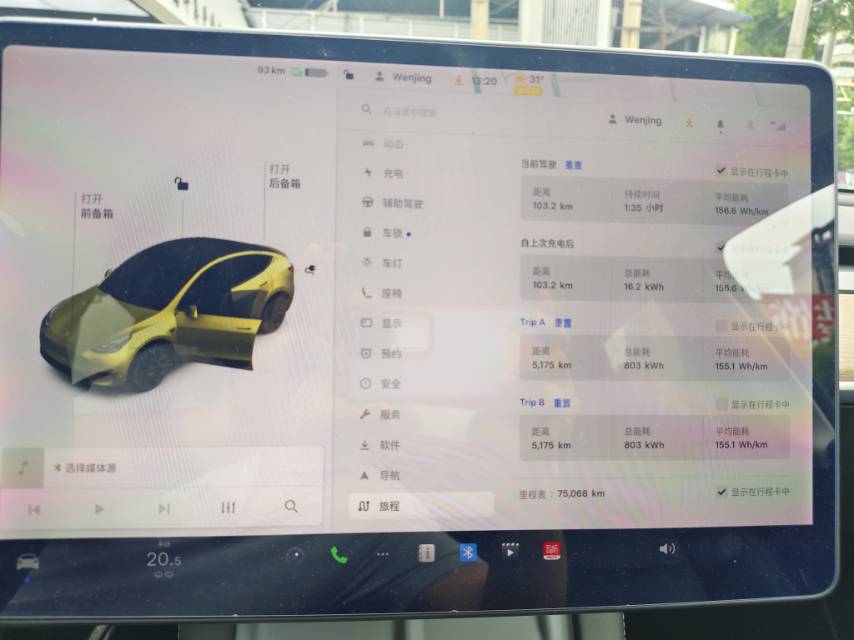 Tesla Model Y 2021 car image #6