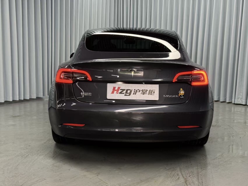Tesla Model 3 2020 #8 Tesla Model 3 2020 car image #8