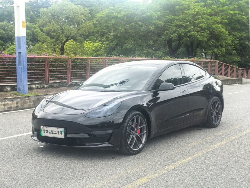 Tesla Model 3 2021 car image 