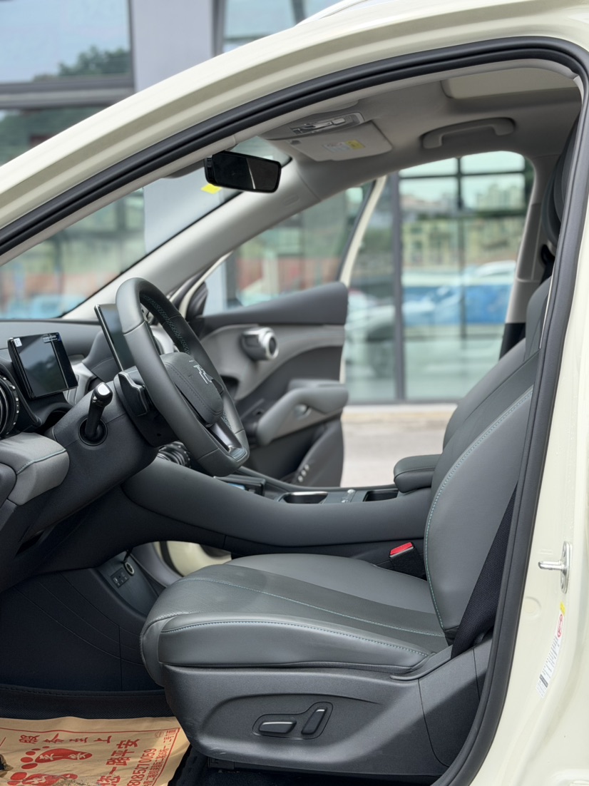 BYD Yuan Plus 2025 car image #8