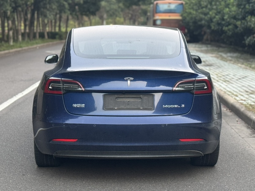 Tesla Model 3 2020 imagem de carro #7