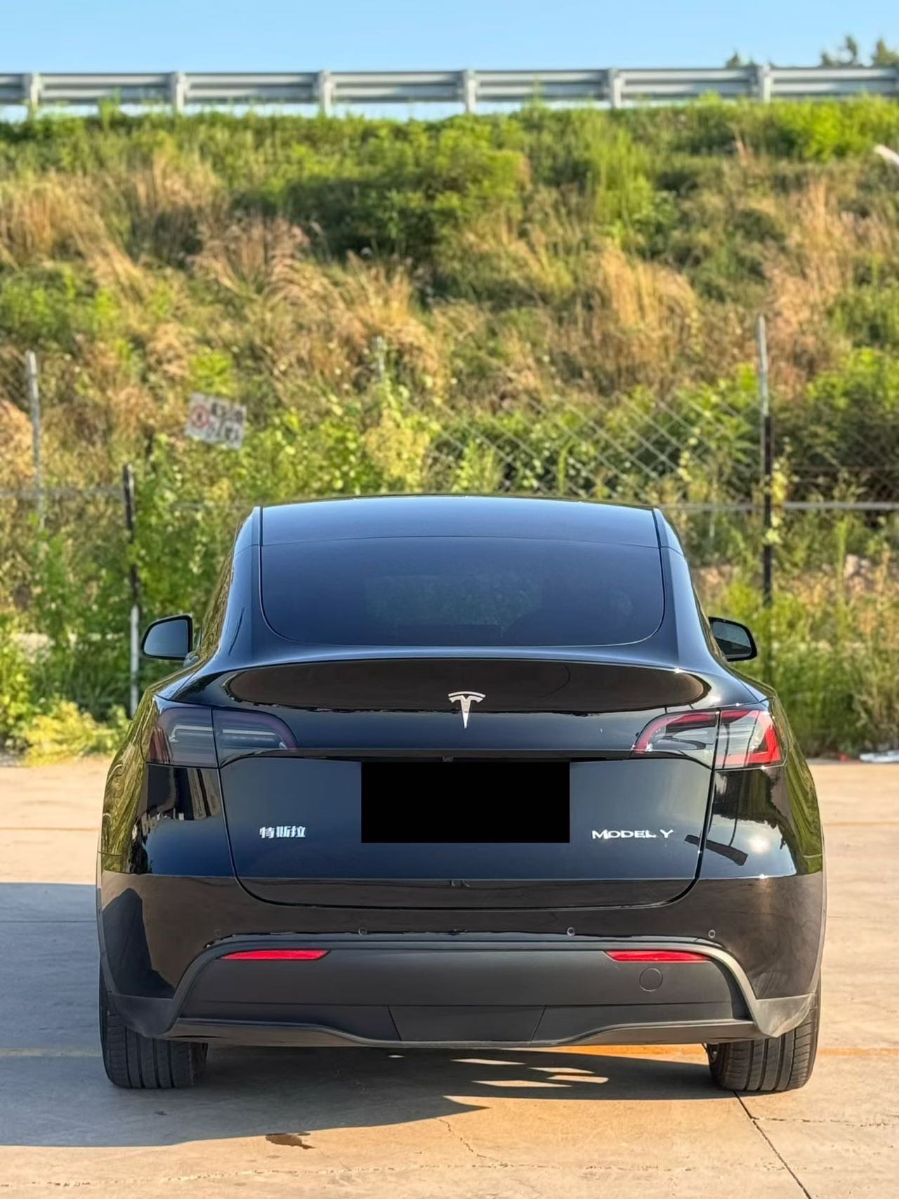 Tesla Model Y 2021 car image #8