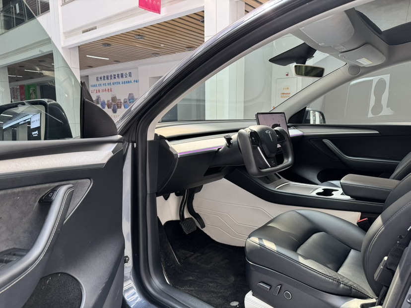 Tesla Model Y 2023 car image #9